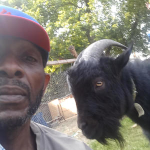 Thr Bell tolls (Explicit)