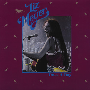 Liz Meyer - Once a Day