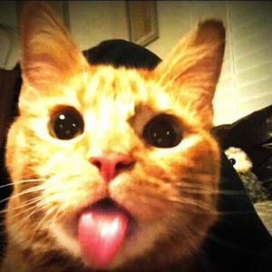 waste step! (Explicit)