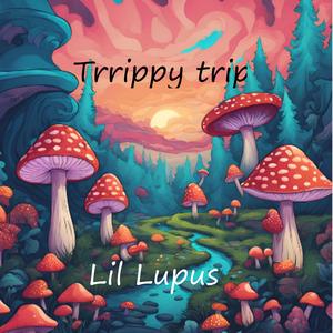 Trippy Trip (Explicit)