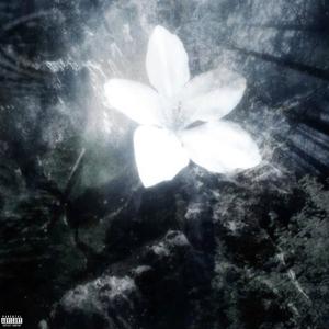 Best of Me / Save Ha! (Explicit)