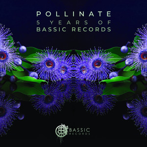 Pollinate (5 Years of Bassic Records)