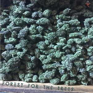 Forest for the Trees (Explicit)