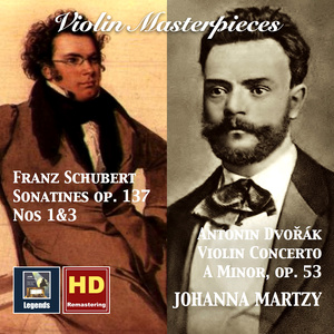 Violin Concerto in A Minor, Op. 53, B. 96 - I. Allegro ma non troppo