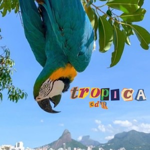 Tropica (Explicit)