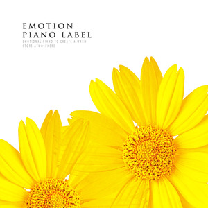 따스한 매장 분위기를 만드는 감성 피아노 (Emotional Piano To Create A Warm Store Atmosphere)