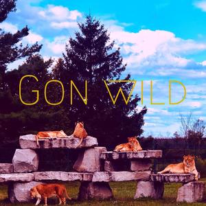 Gon wild (Explicit)