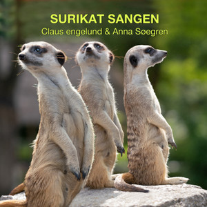 Surikat Sangen