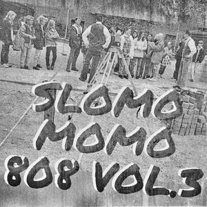 Loslassen (feat. McBo, Nadine Sole & Lea S.) (SloMo808 Version)