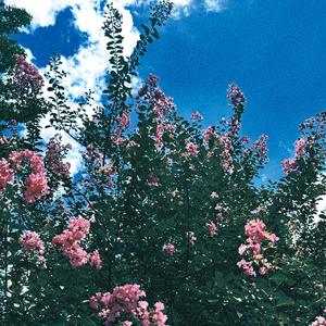 I Thought About Ending It Today