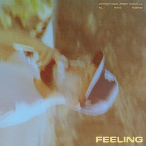 FEELING