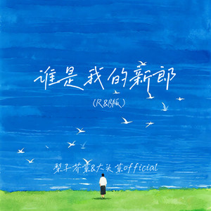 谁是我的新郎 (R&B版)