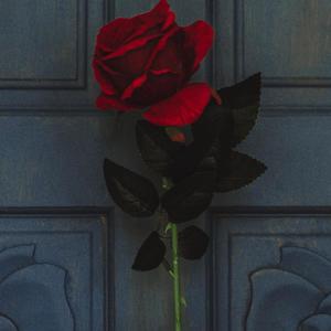 Late Bloomer (Explicit)