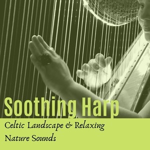 Soothing Harp: Celtic Landscape & Relaxing Nature Sounds