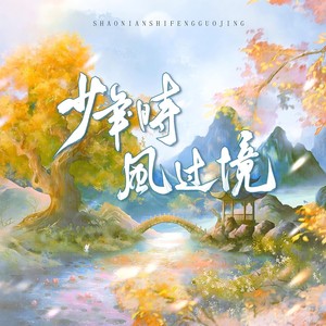 少年时，风过境封面
