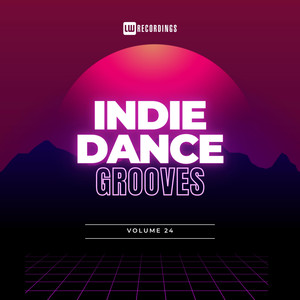 Indie Dance Grooves, Vol. 24