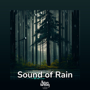 Live the actual moment