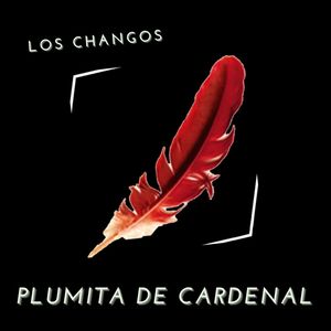 Plumita de Cardenal