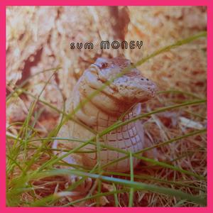 sum MONEY (feat. NoLuvJP) [Explicit]