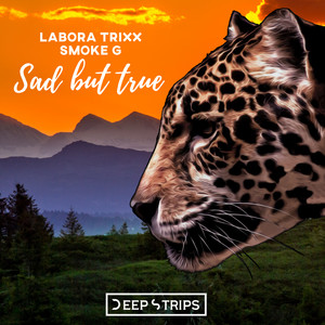 Sad But True (Original Mix)
