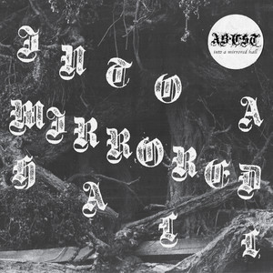 Into a Mirrored Hall