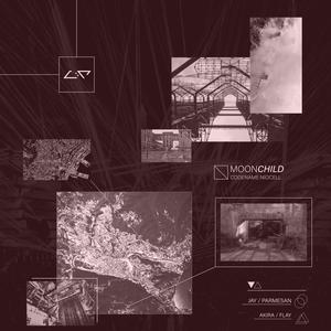 MOON_CHILD (Snow Ghost Remix|Explicit)