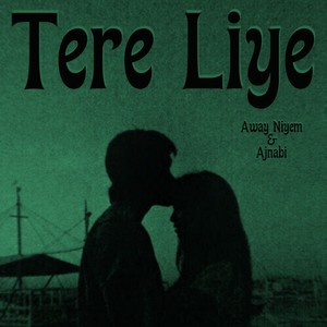 Tere Liye