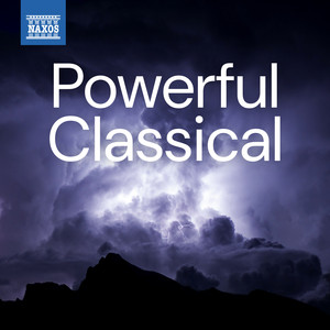 Symphony No. 1 in E Minor - Symphony No. 1 in E Minor: IV. Finale