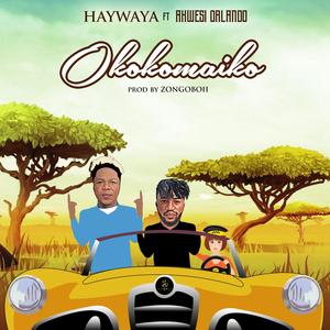 Okokomaiko(feat. Akwesi Orlando)