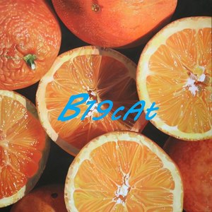 Iced ORANGES(No free)