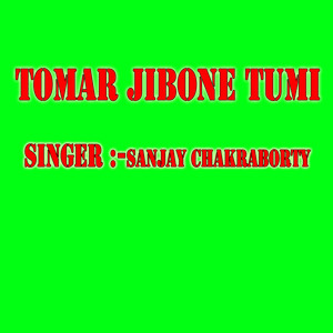 TOMAR JIBONE TUMI