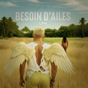Besoin d'ailes