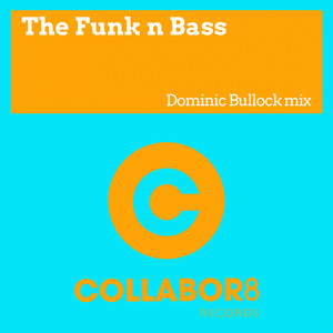 The Funk N Bass (Original Mix)