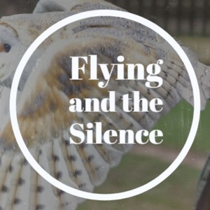 Flying and the Silence