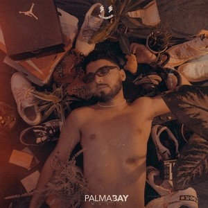 Pa’ Que Lleven (Remix|Explicit)