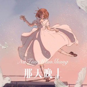 那天晚上 (Remix)