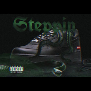 STEPPIN (Explicit)