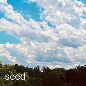 seed w/ adonis.will (Explicit)