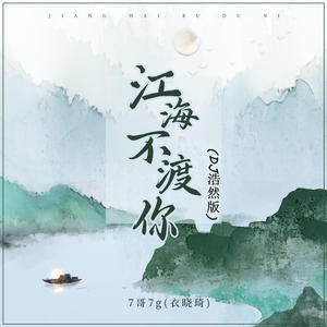 江海不渡你 (DJ浩然版伴奏)