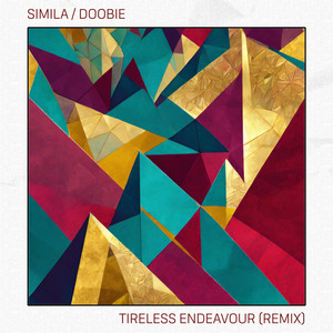 Tireless Endeavour - Doobie Remix