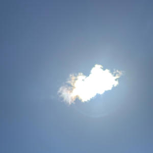 Busy bird (Explicit)