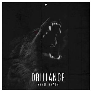 Drillance