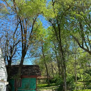 I Remember (feat. Playbwoi Tha Great) (Explicit)