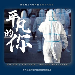 平凡的你