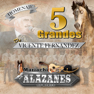 5 Grandes de Vicente Fernandez (Mariachi)