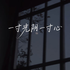 一寸光阴一寸心