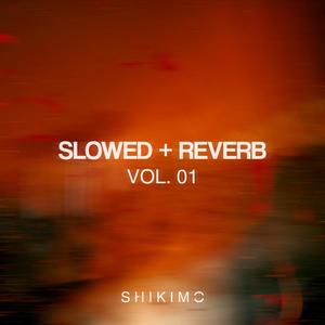 Slowed + Reverb, Vol. 01