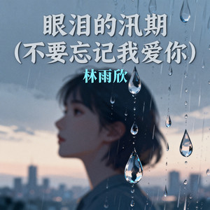 眼泪的汛期(不要忘记我爱你)