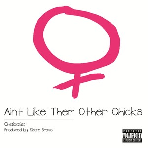 Ain't Like Them Other Chicks (Explicit)