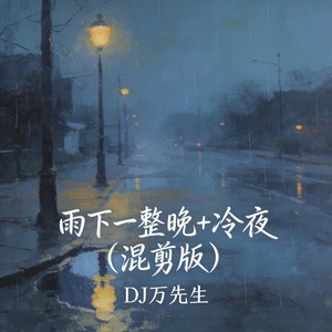 雨下一整晚+冷夜-DJ万先生